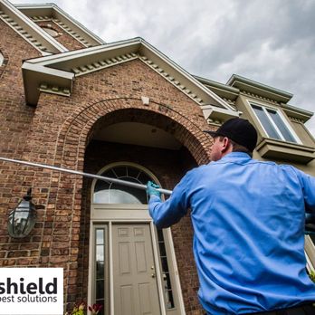 EcoShield Pest Solutions - Pest Control Near Me - Arlington Heights, Illinois EcoShield Pest Solutions - Pest Control Near Me - Arlington Heights, Illinois