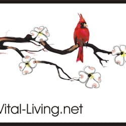 Vital Living - Massage for stress relief