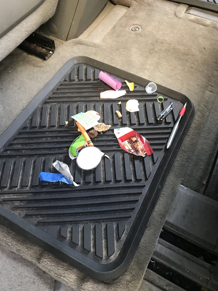 PARADISE CAR WASH &amp; DETAIL CENTER 16 Photos &amp; 58 Reviews