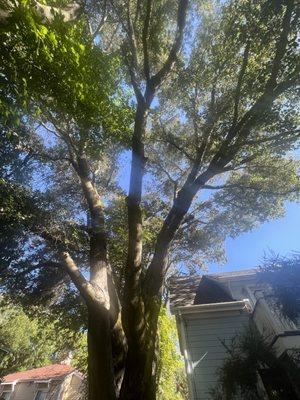 The Napa Inn & Spa by null