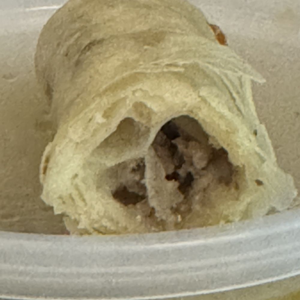 Oriental Garden - Cheese Steak Roll - Japanese Near Me - Lyndhurst, New Jersey Oriental Garden - Cheese Steak Roll - Japanese Near Me - Lyndhurst, New Jersey