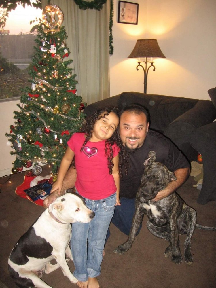 GOOD DOG INK9 Updated May 2024 22 Photos Yucaipa, California