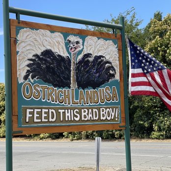 Ostrichland USA - Attraction Farms Near Me - Solvang, California Ostrichland USA - Attraction Farms Near Me - Solvang, California