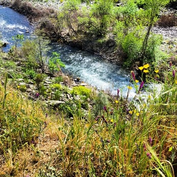 Lake Clementine - Spring is in the air. 4/4/15 - Lakes Near Me - Auburn, California