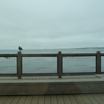the C restaurant + bar - Seafood Near Me - Monterey, California the C restaurant + bar - Seafood Near Me - Monterey, California