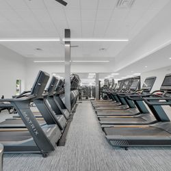 Fitometry Health Club - Fully connected cardio equipment