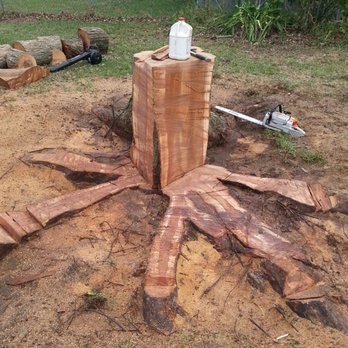 Stanford Tree Trimming & Removal - Tree Services Near Me Stanford Tree Trimming & Removal - Tree Services Near Me