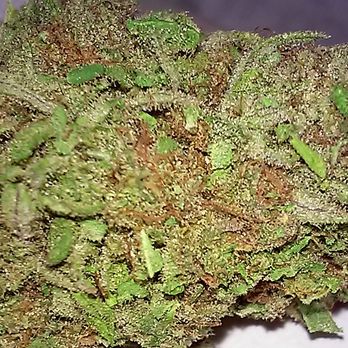 Green Essence Mobile - Our Shishkaberry Organic strain - Cannabis Clinics Near Me