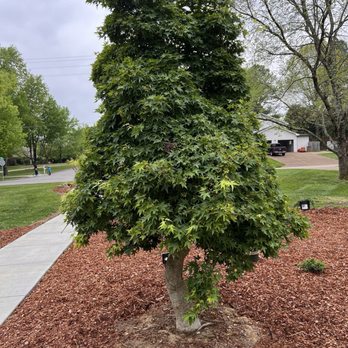 Hewitt Garden & Design Center - Nurseries & Gardening Near Me - Franklin, Tennessee