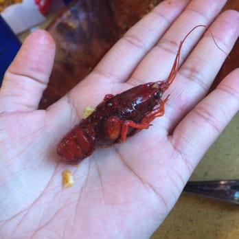Chason's - Seafood Near Me - Elk Grove, California