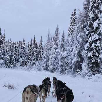 Rod's Alaskan Guide Service - Dog sled - Fishing Near Me - North Pole, Alaska Rod's Alaskan Guide Service - Dog sled - Fishing Near Me - North Pole, Alaska