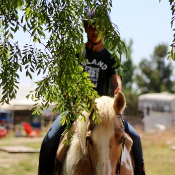 God's Gift Horse Ranch - Cinnamon - Horse Boarding Near Me
