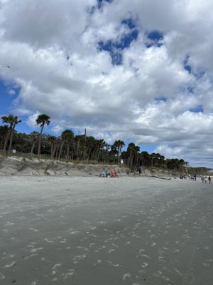 Hunting Island by null