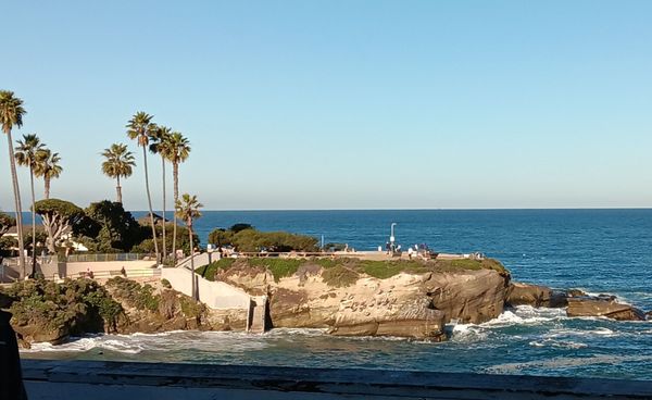 Children's Pool La Jolla by null