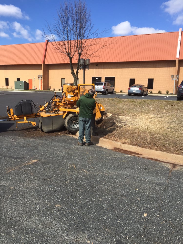 McCullough Tree Experts - tree service in Dundalk, MD