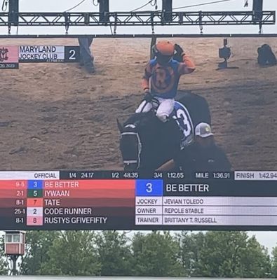 Pimlico Race Course by null