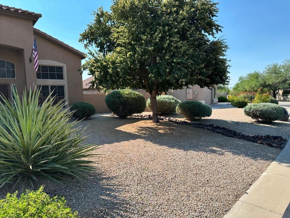 Desert-friendly plants and rock layout by Zenith Landscaping AZ