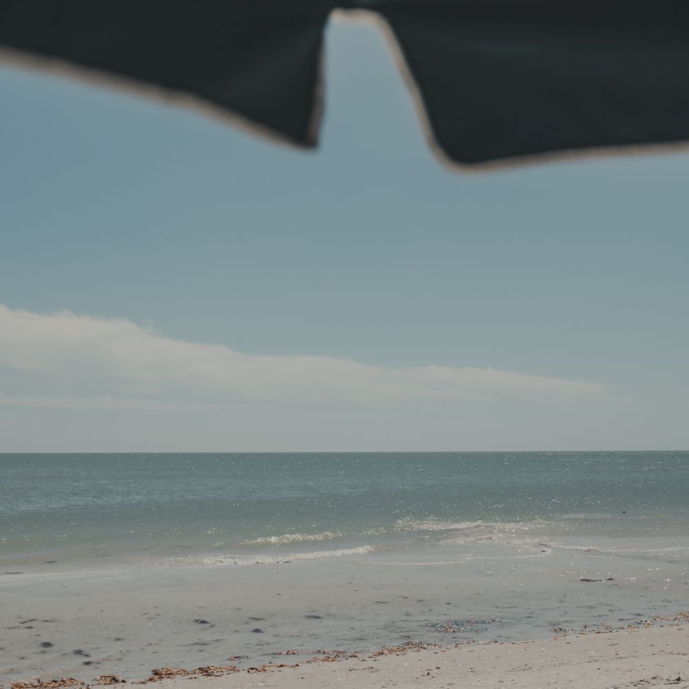 Sanibel Inn - Hotels Near Me - Sanibel, Florida Sanibel Inn - Hotels Near Me - Sanibel, Florida