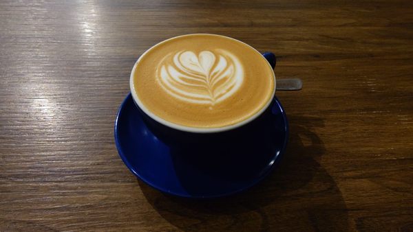 The Clue-less Goat by null