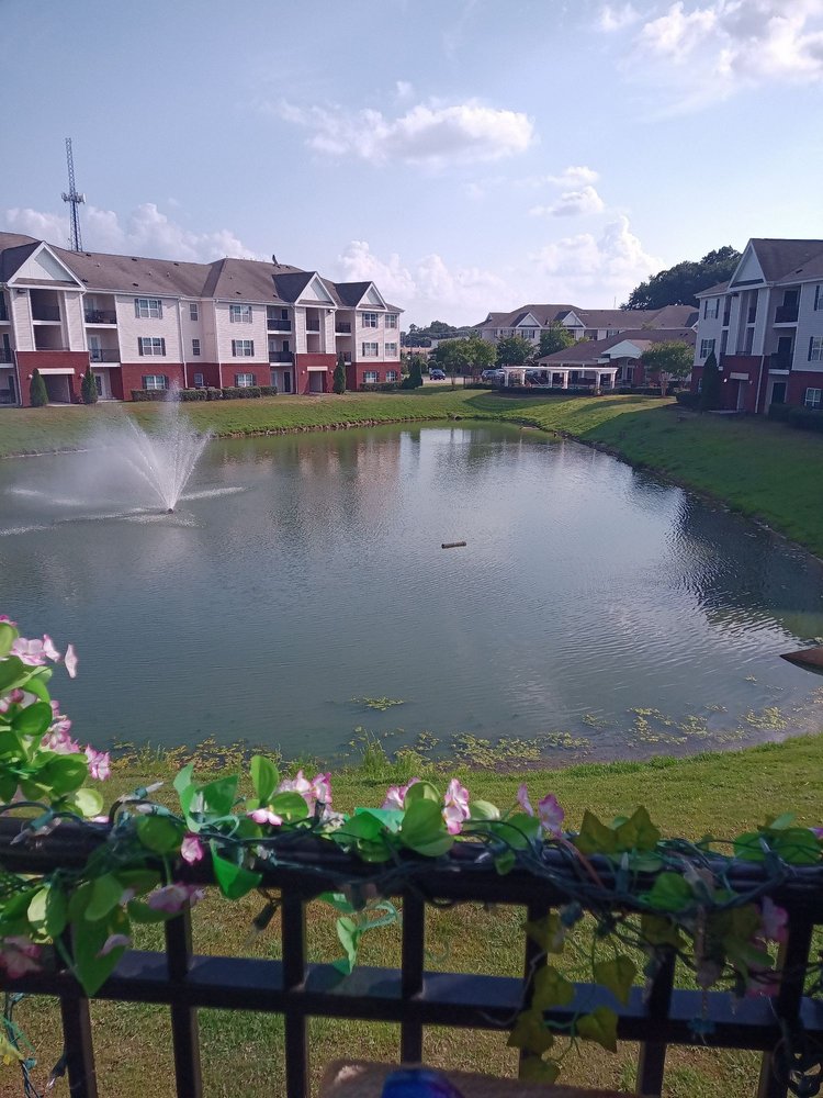 HERITAGE FOREST APARTMENTS Updated October 2024 12 Photos 901