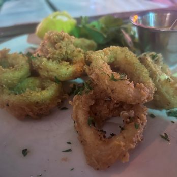 Jaguar Restaurant - Coconut Grove - Calamari - Latin American Near Me - Miami, Florida Jaguar Restaurant - Coconut Grove - Calamari - Latin American Near Me - Miami, Florida