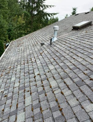 Georgia Roof Rangers Logo