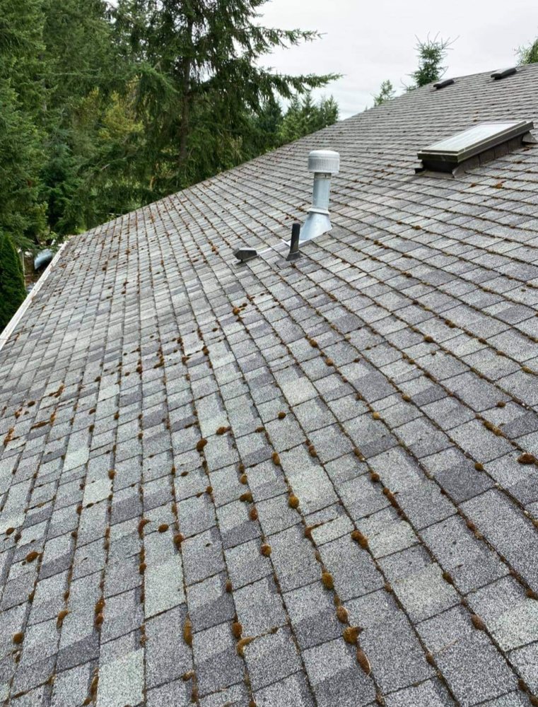 Slide of Georgia Roof Rangers