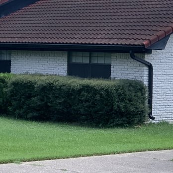 The Gutter Gang - Happy customer. - Gutter Services Near Me - Shreveport, Louisiana The Gutter Gang - Happy customer. - Gutter Services Near Me - Shreveport, Louisiana