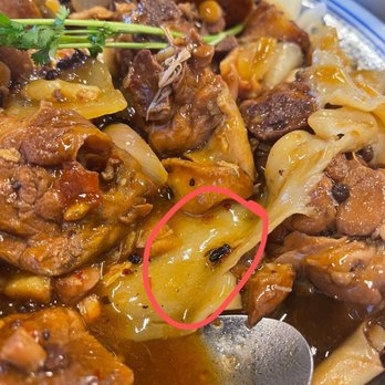 Tasty Xi'an - Big Fly in the food!! Can't stand this - Chinese Near Me - Diamond Bar, California Tasty Xi'an - Big Fly in the food!! Can't stand this - Chinese Near Me - Diamond Bar, California