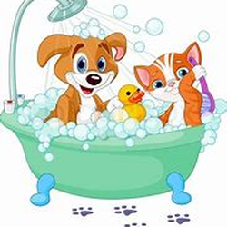 Family Pet Connection