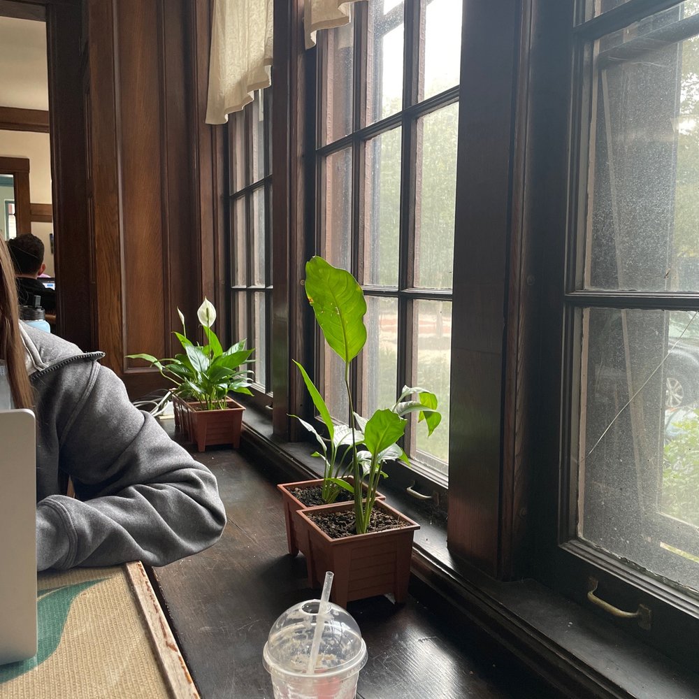 The Coffee House - Coffee & Tea Near Me - Cleveland, Ohio