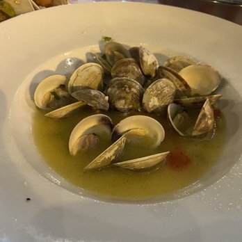 The Cove - Delicious Clams!!! - New American Near Me - Brigantine, New Jersey The Cove - Delicious Clams!!! - New American Near Me - Brigantine, New Jersey