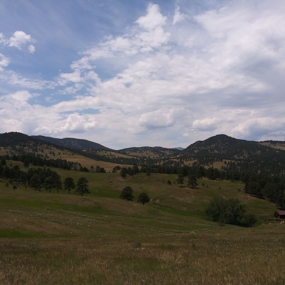 White Ranch Open Space Park - Looking North from upper Longhorn Trail I believe. - Hiking Near Me - Golden, Colorado White Ranch Open Space Park - Looking North from upper Longhorn Trail I believe. - Hiking Near Me - Golden, Colorado