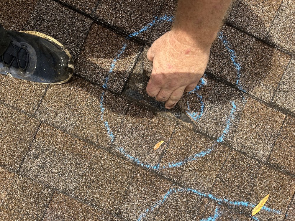 Slide of Total Care Services