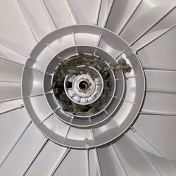 Kashtak HVAC & Appliance Service - Debris accumulated between the drum and agitator in a top-loading washing machine, causing noise and additional wear on the unit