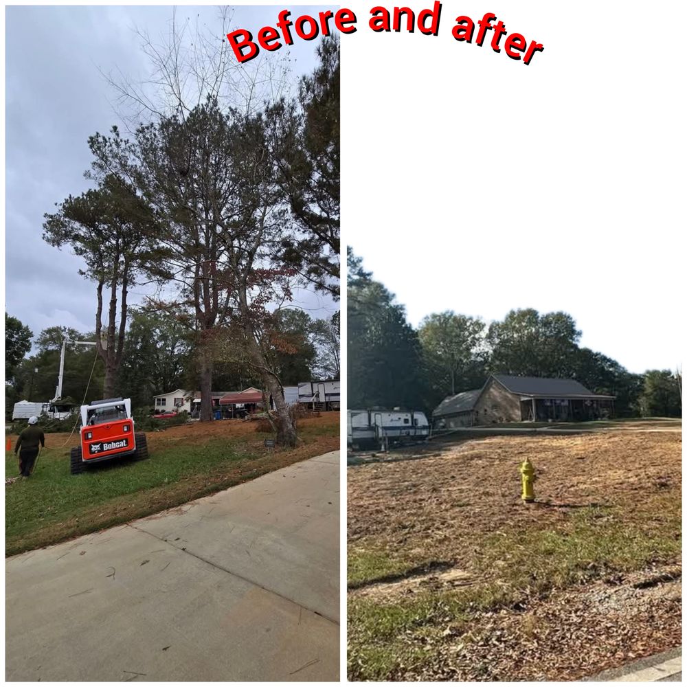 Zamora Tree Service - tree service in Alabaster, AL