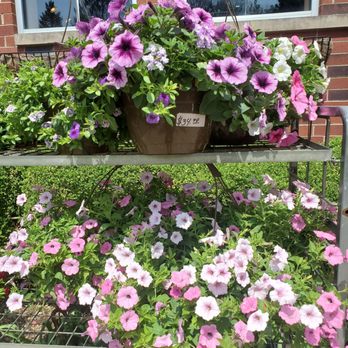 Good Earth Greenhouse - Nurseries & Gardening Near Me - River Forest, Illinois
