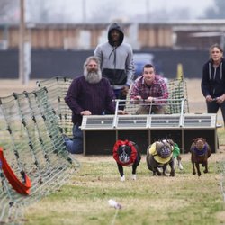 K9-CrossFit - Drag racing