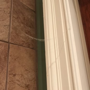 Colonial Inn - Spider web right above the bathtub. - Hotels Near Me - Galloway, New Jersey