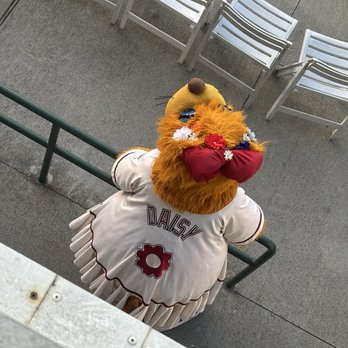 Frisco RoughRiders - Amateur Sports Teams Near Me - Frisco, Texas Frisco RoughRiders - Amateur Sports Teams Near Me - Frisco, Texas