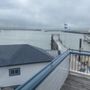Photo of Dolphin Swimming & Boating Club