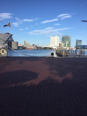 Rita's Italian Ice Inner Harbor by null