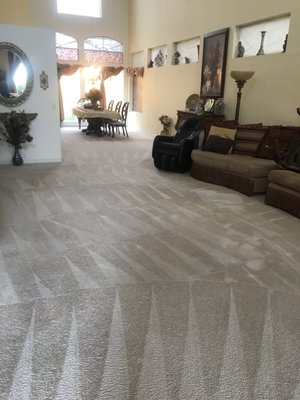 Carpet Cleaning Projects - 22 year of experience, carpet cleaning, tile and grout cleaning, pressure washing, windows cleaning, drapes and upholstery and more, residential and commercial and hotels, in the hotels we do carpet, upholstery and drapery cleaning, suites, regular rooms. Carpet Cleaning Projects - 22 year of experience, carpet cleaning, tile and grout cleaning, pressure washing, windows cleaning, drapes and upholstery and more, residential and commercial and hotels, in the hotels we do carpet, upholstery and drapery cleaning, suites, regular rooms.