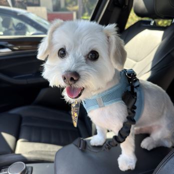 The Pet Wash - Pet Groomers Near Me - El Segundo, California The Pet Wash - Pet Groomers Near Me - El Segundo, California