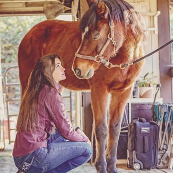 Emma Lee Horsemanship - Horseback Riding Near Me Emma Lee Horsemanship - Horseback Riding Near Me