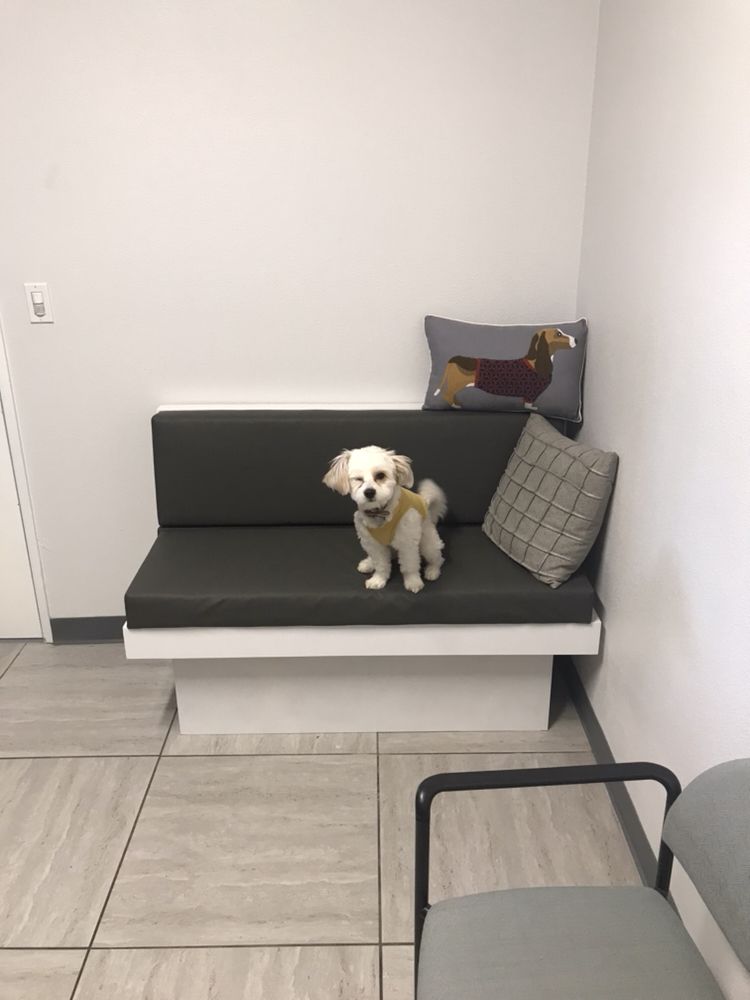 GENTLE CARE VETERINARY HOSPITAL Updated October 2024 180 Photos