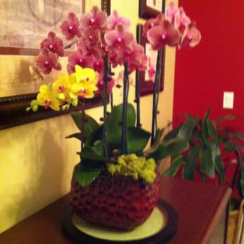Lee's Orchids - Florists Near Me - Los Angeles, California