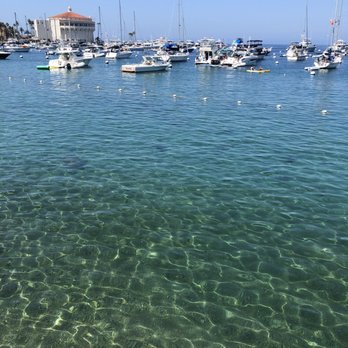 Bluewater Avalon - Seafood Near Me - Avalon, California Bluewater Avalon - Seafood Near Me - Avalon, California