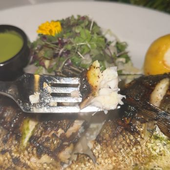 MCK Restaurant And Bar - Tapas/Small Plates Near Me - Atlanta, Georgia MCK Restaurant And Bar - Tapas/Small Plates Near Me - Atlanta, Georgia