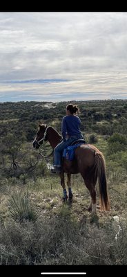 Abilene State Park by null
